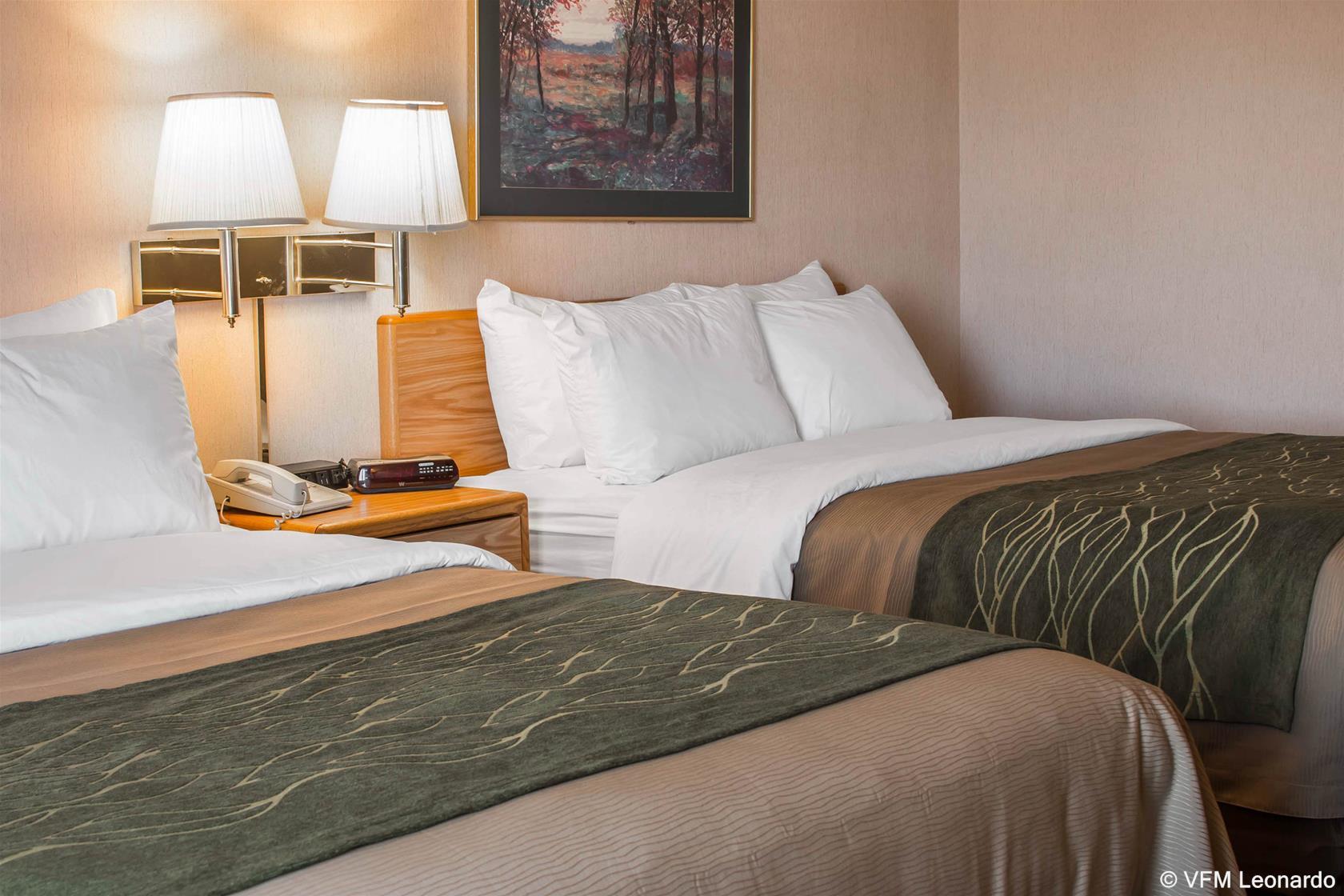 Comfort Inn Σάρλοτ Εξωτερικό φωτογραφία