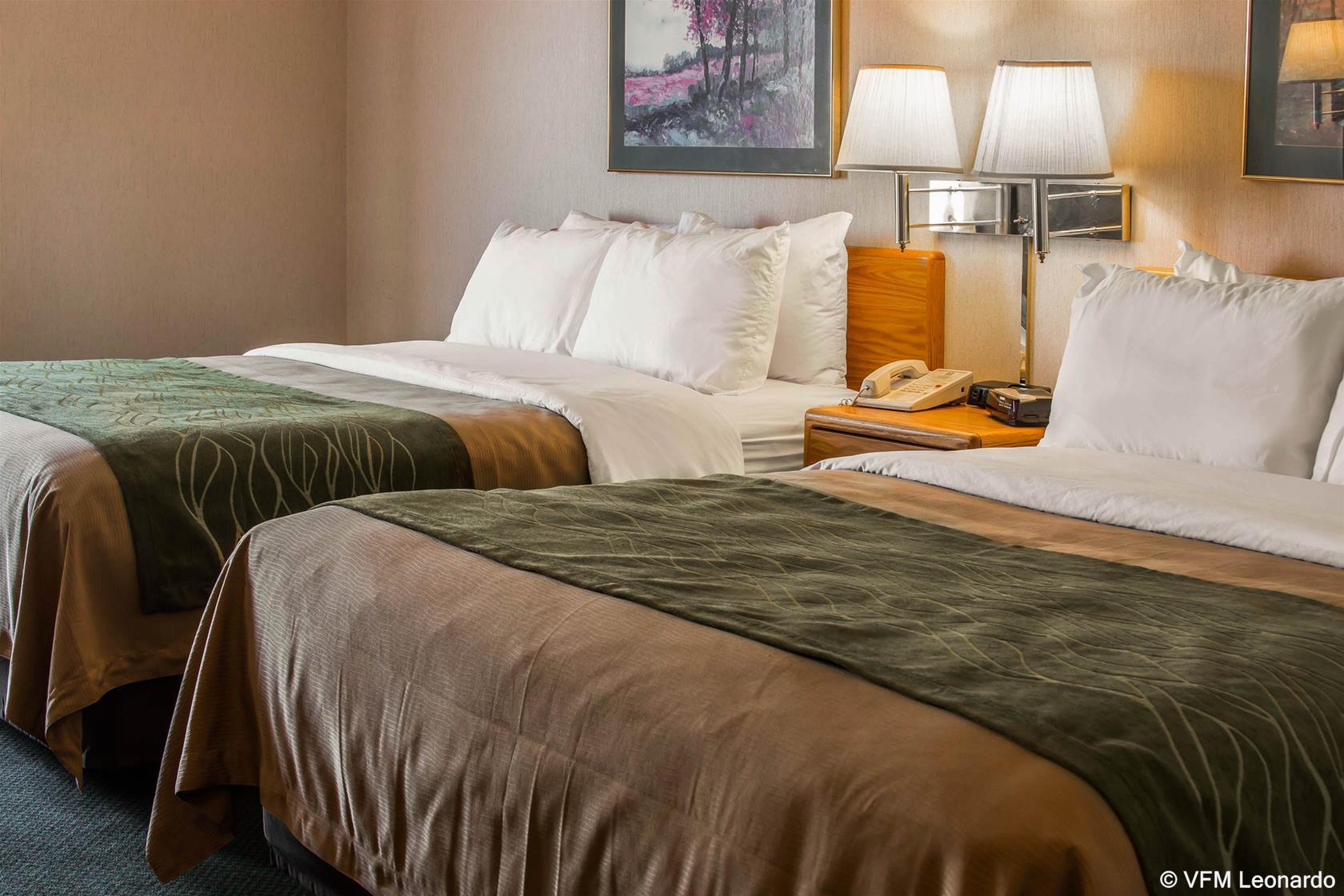 Comfort Inn Σάρλοτ Εξωτερικό φωτογραφία