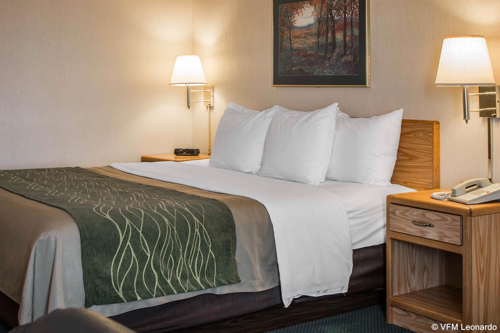 Comfort Inn Σάρλοτ Εξωτερικό φωτογραφία