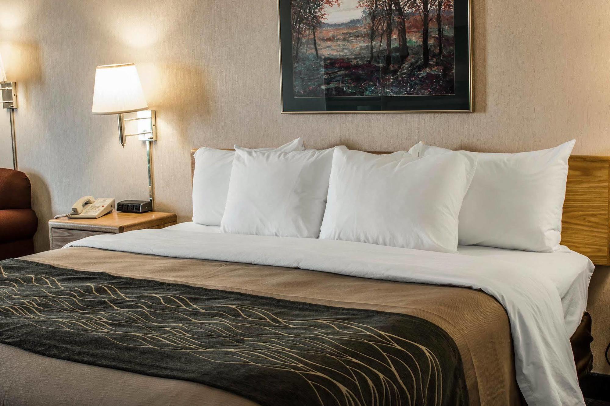 Comfort Inn Σάρλοτ Εξωτερικό φωτογραφία